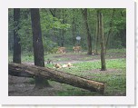 Dierentuin Burgers  Zoo 082 * 3648 x 2736 * (5.91MB)